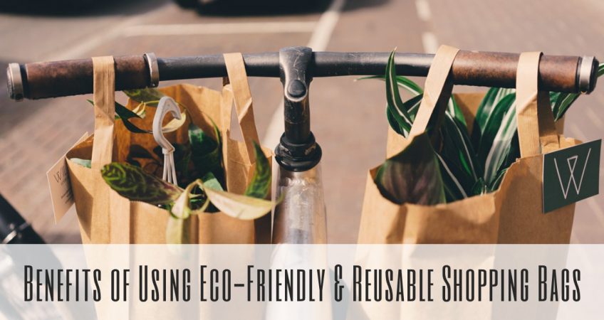 Benefits of Using Eco-Friendly & Reusable Shopping Bags